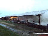 Krasne: Gigantyczny pożar fermy drobiu. Spłonęło 10 tys. indyków, ranny właściciel