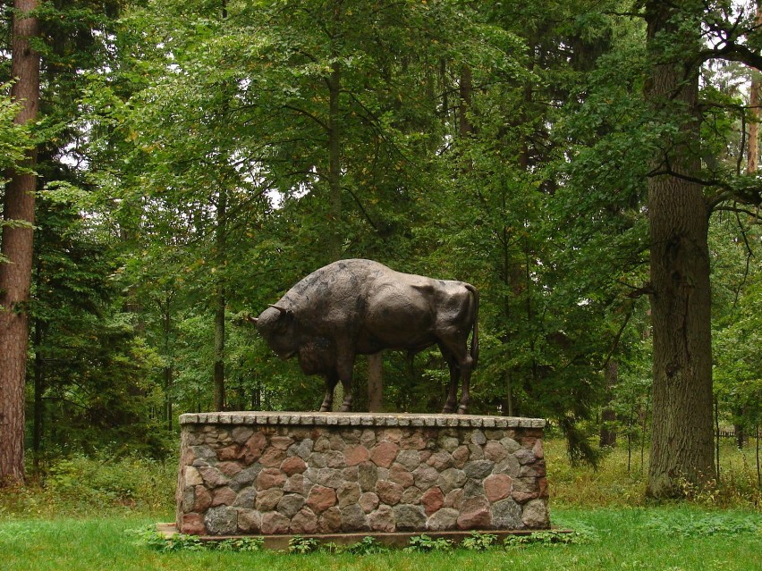 Białowieża - czy pozostaną nam tylko takie pomniki?