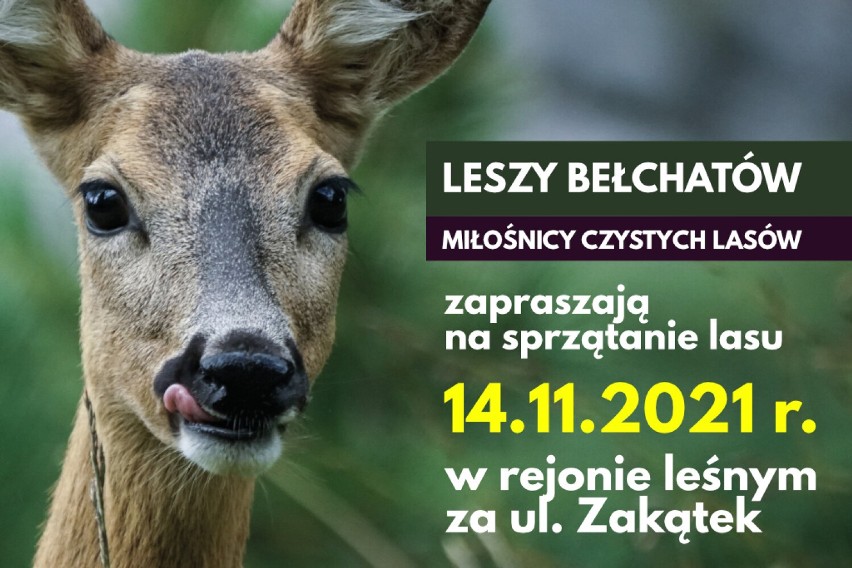 Leszy Bełchatów - Miłośnicy Czystych Lasów w każdą niedzielę...