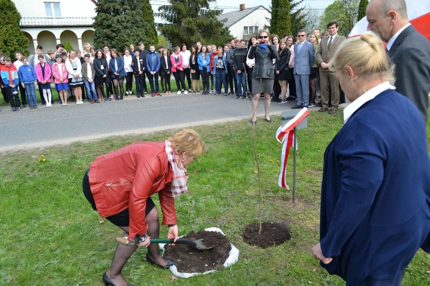 W Starogrodzie posadzono Dąb Stulecia Niepodległości Polski....