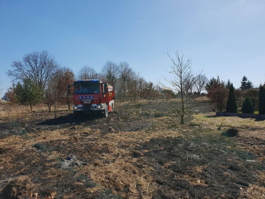 Wypalanie traw jest niezgodne z prawem! Policja przypomina...