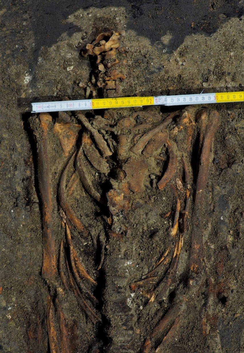 Szczątki znaleziono podczas prac archeologicznych w krypcie...