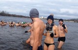 Morsy kąpały się na Bolko w Opolu. Woda miała temperaturę 3,5 stopnia Celsjusza! [ZDJĘCIA]