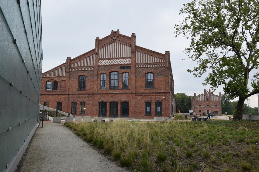 Dawna łaźnia główna na terenie Muzeum Śląskiego zostanie...