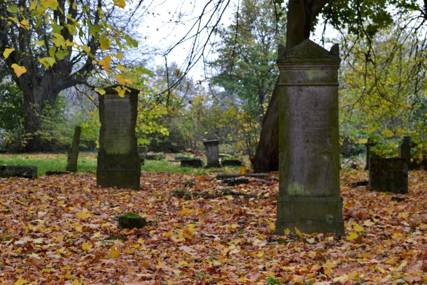 Menonicki cmentarz w Stawcu