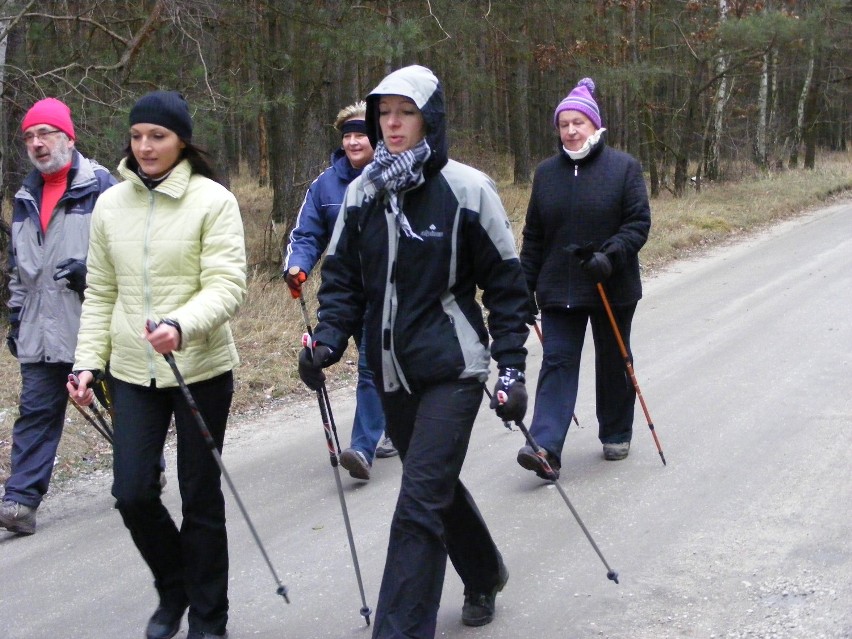 Wycieczka nordic walking przez Puszczę Zielonkę [ZDJĘCIA]