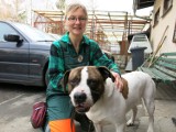 Jelenia Góra: Właścicielka siedzi areszcie, za kratami zamknięto też psa