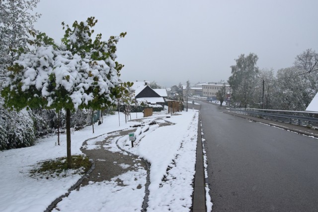 Śnieżny kwietniowy poranek w Wilkowicach.