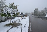 Śnieżna wiosna w Bielsku-Białej - zdjęcia. Kwietniowy śnieg spadł w Beskidach