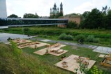 Rzeczny Ogród EkoEdukacji w Poznaniu już otwarty. Jest dostępny dla wszystkich. Zobacz zdjęcia