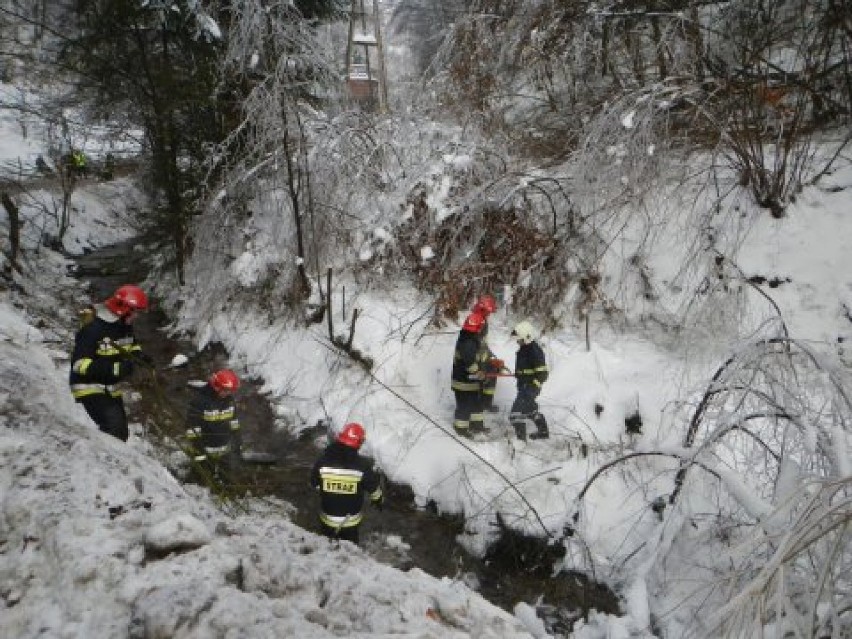 Strażacy w Lublińcu na Słowenii