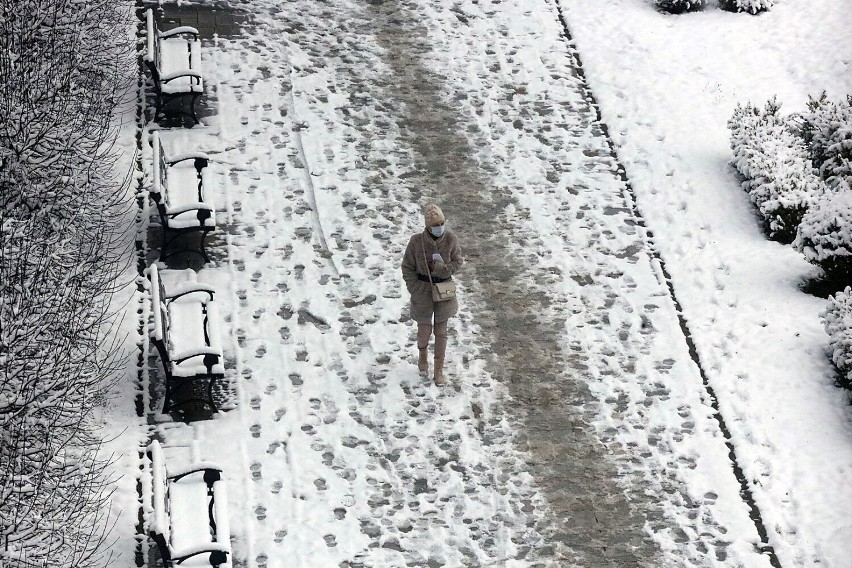 Zjawiskowa zima w Legnicy! Spadło kilka centymetrów śniegu, zobaczcie zdjęcia