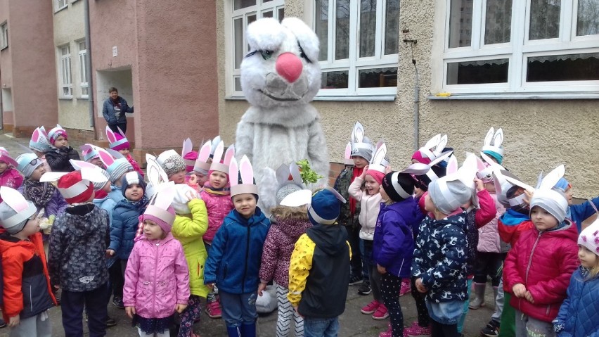 W przedszkolu Bajkowy Zakątek przy ul. Lechickiej dzieci pod okiem zająca szukały jajek