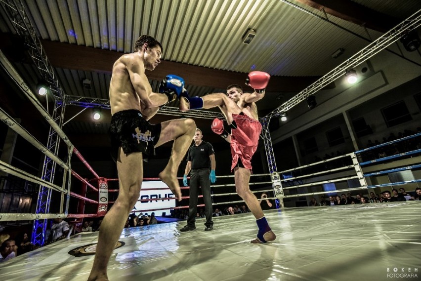 Puchar Kaszub DFN - Gala Sportów Walki w Kartuzach,...