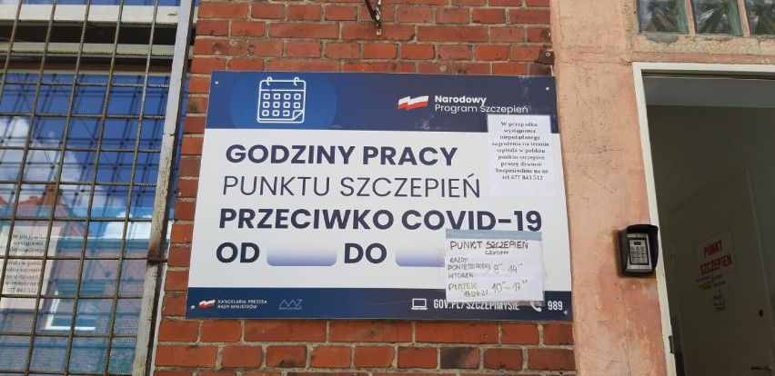 Zdjęcia wykonaliśmy w samo południe, gdy na szczepieniu było...