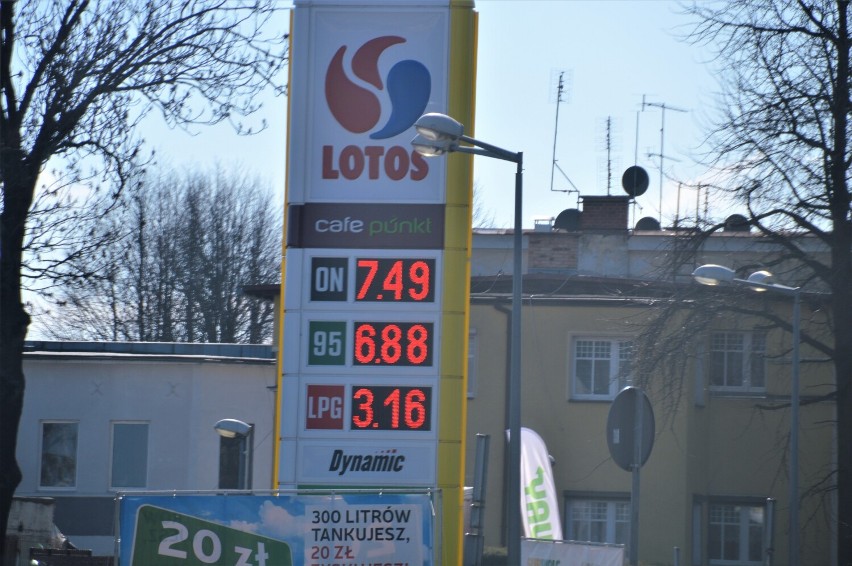 Ceny paliw w Rawiczu (08.03.2022). Za litr oleju napędowego trzeba zapłacić nawet 7,66 zł. Nie wszędzie go dostaniesz [ZDJĘCIA]