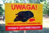 W Zielonej Górze stanęły tablice dla... dzików. Bo ludzie są okrutni