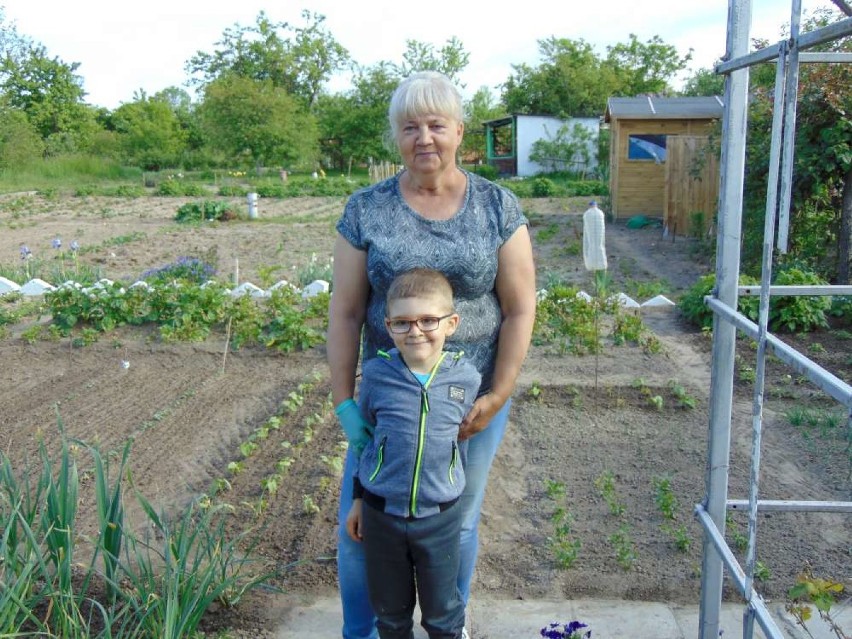 Coraz więcej chętnych na ogródki działkowe w Budzyniu