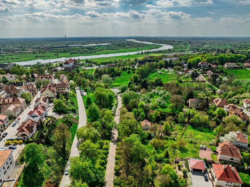 Piękna wiosna w Sandomierzu. Kwitną drzewa i rośliny Zobacz wyjątkowe zdjęcia zielonego miasta z drona