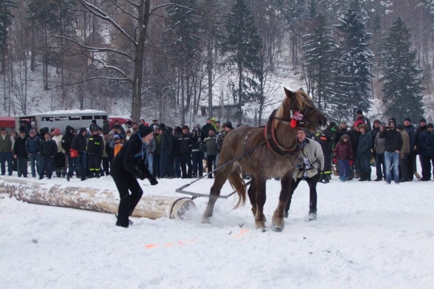 Węgierska Górka: Międzynarodowe Zawody Furmanów 2013 [ZOBACZ ZDJĘCIA]