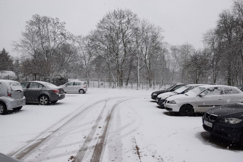 Zduńska Wola znów pod śniegiem. Tak wyglądają dziś ulice