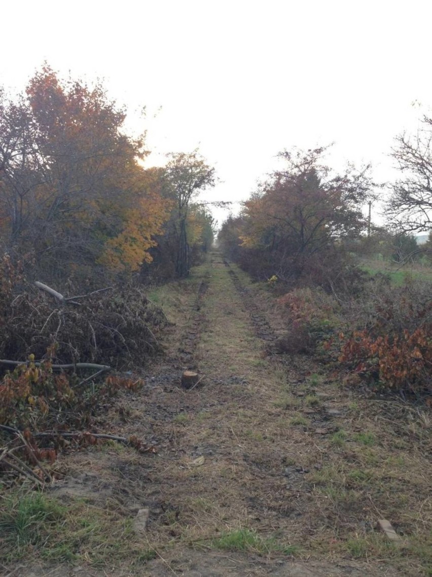 Rozbiórka torów z Chodzieży do Gołańczy - rok 2013