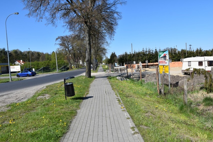 Tak wyrasta Dino na ul. Gdańskiej w Sławnie