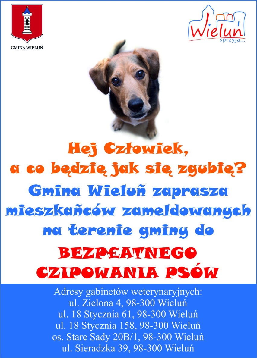Wieluń: Zniesienie opłaty od psa zachętą do korzystania z programów zwierzęcych