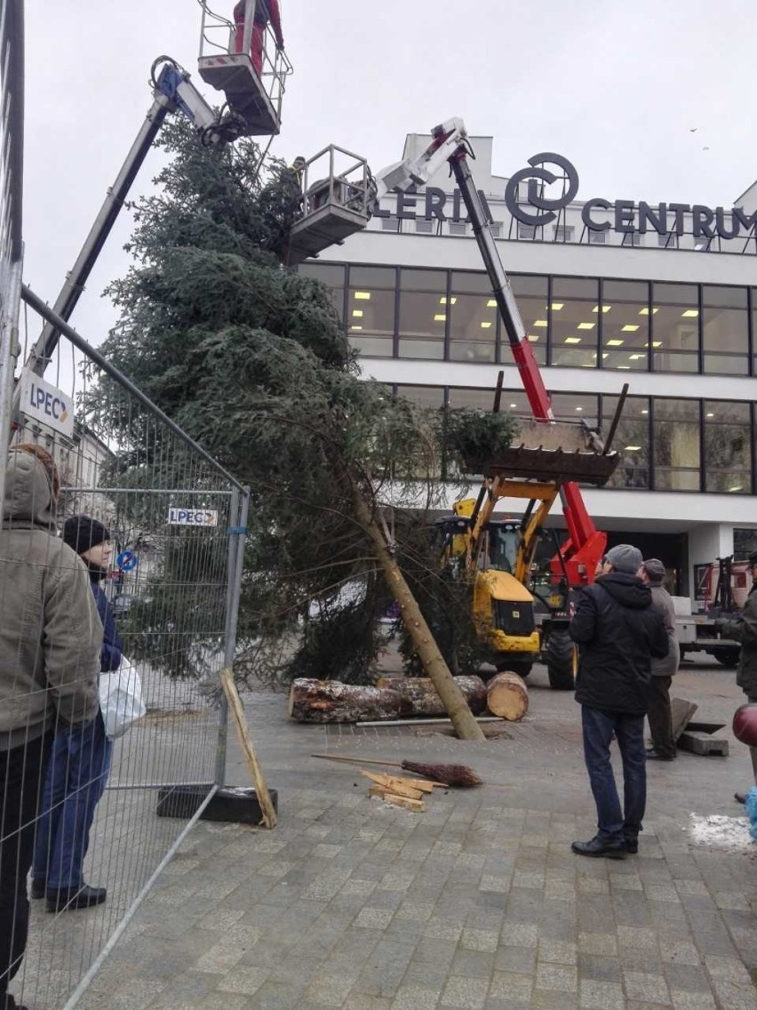 Kolejna choinka stanęła w centrum Lublina (ZDJĘCIA)