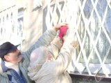 Działkowcy w Gnieźnie pomagają ptakom