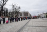 "Choinka pod choinkę" w Częstochowie. Kilkaset osób w kolejce po darmowe choinki