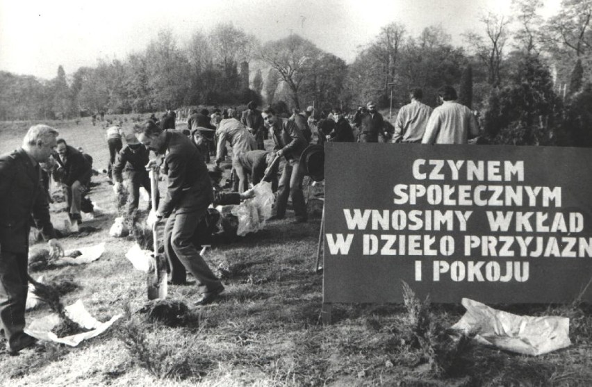 Październik 1984 - sadzenie drzewek na Cytadeli

Zobacz...