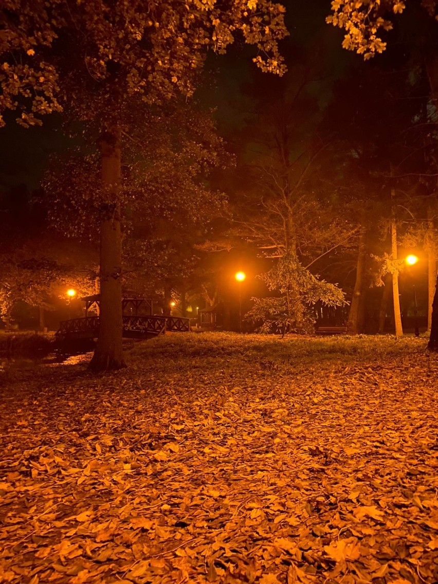 Jesień w Pleszewie. Jesienne planty nocą [ZDJĘCIA]