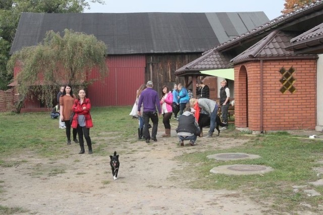 "SOS dla zwierząt” przy ul. Malowniczej w Łodzi.