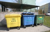 Kontenery na śmieci- za dużo czy za mało?