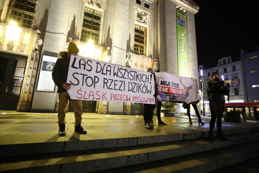 Las dla ludzi - nie dla myśliwych, Stop rzezi dzików: pod takimi hasłami demonstrowano w Katowicach ZDJĘCIA 