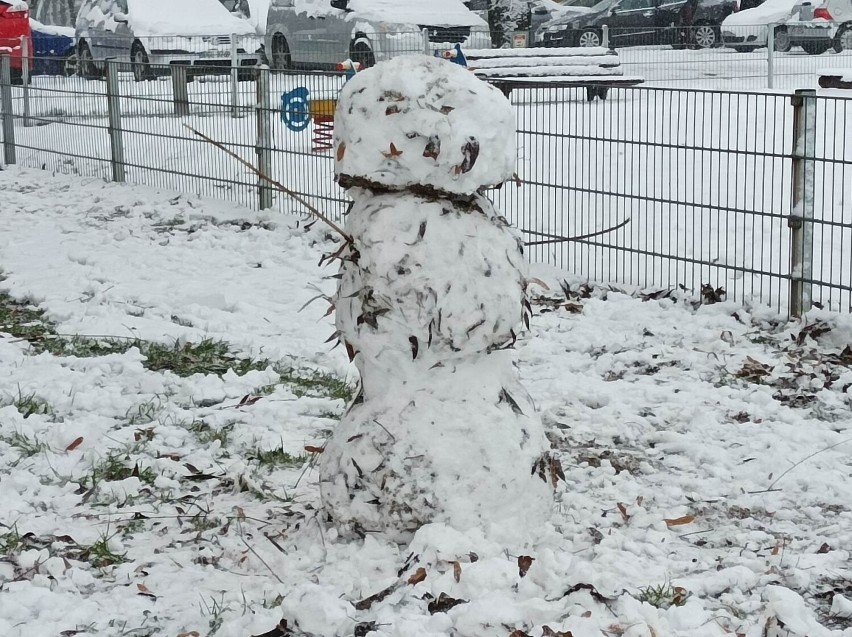 Śnieg jest mokry i ciężki, ale da się ulepić bałwana