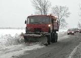 Akcja Zima 2010 w Mikołowie i powiecie mikołowskim