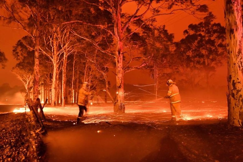 Pleszewscy strażacy polecą walczyć z pożarami w Australii? Znamy oficjalne stanowisko Państwowej Straży Pożarnej i rządu