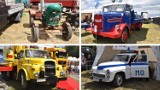Master Truck Show 2022. Zobacz zabytkowe pojazdy, jakie przyjechały na tegoroczny zlot do Polskiej Nowej Wsi pod Opolem