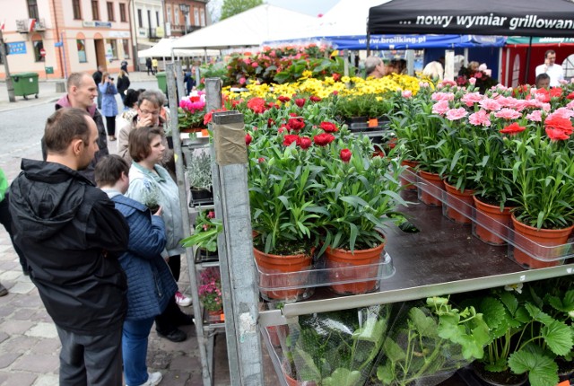 Dni ogrodów i święto kwiatów rozpoczynają jarosławską majówkę na rynku. Impreza zaplanowana jest na 28 i 29 kwietnia.

 Zobacz też: Jak przesadzać rośliny?
