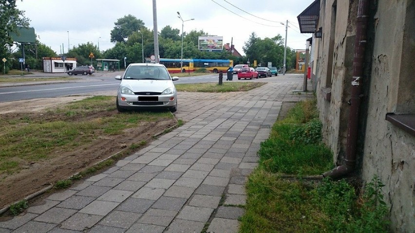 Święte Krowy Poznań - Mistrzowie parkowania na Facebooku