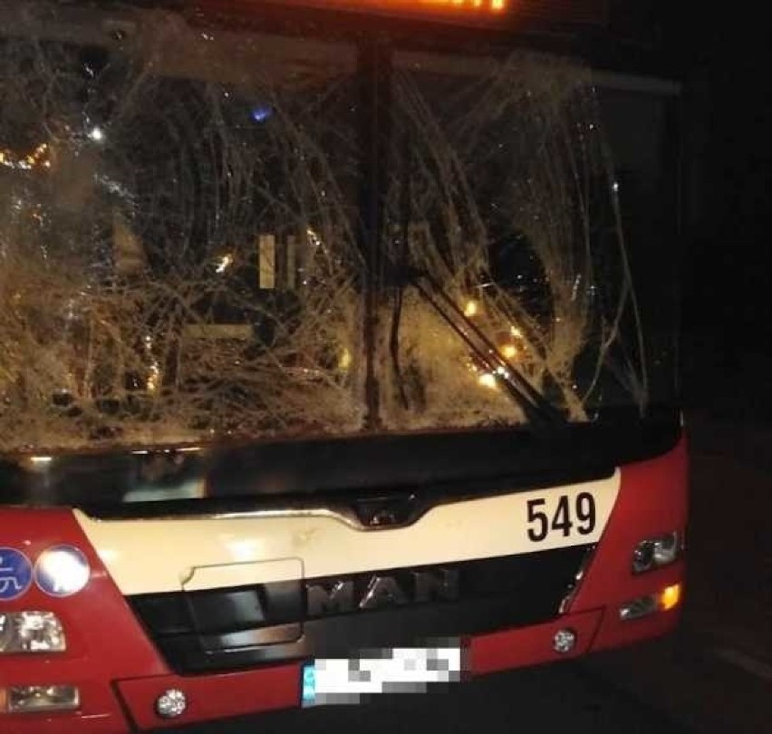 Sarna skasowała przód autobusu miejskiego w Opolu Malinie