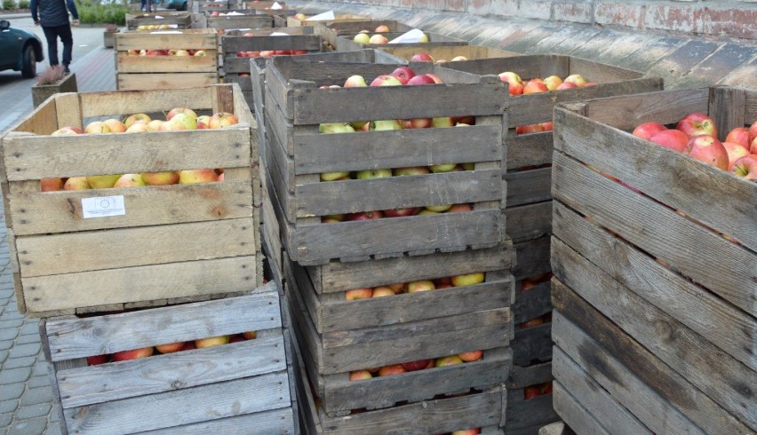 Przy PCPR rozdali 20 ton jabłek