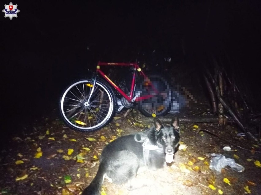 Chełm. Policyjny pies Mister odnalazł w lesie zaginionego 55-latka