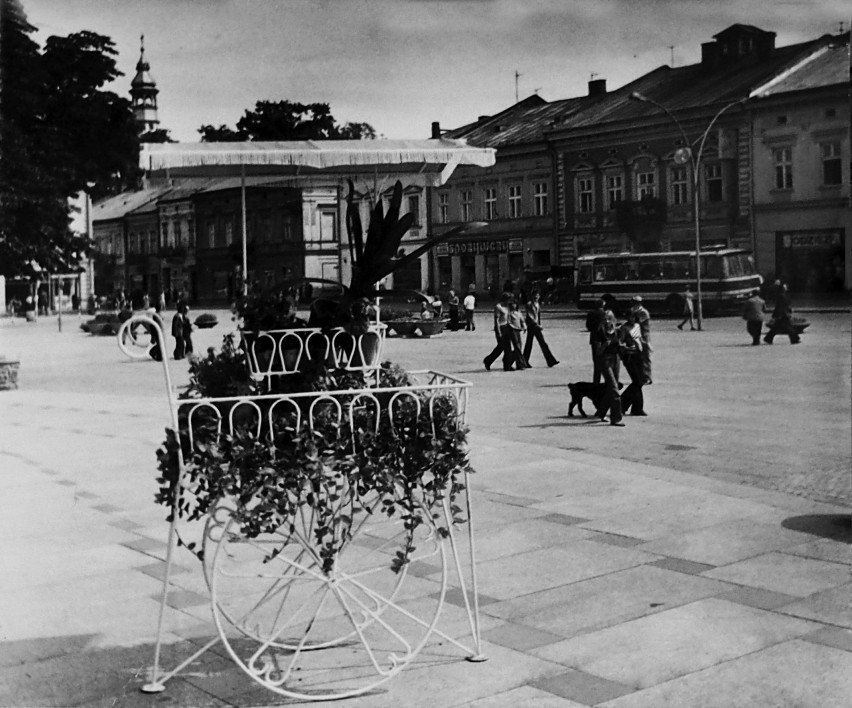 Nowy Sącz Rynek. Dekoracyjne wózki z kwiatami przed ratuszem