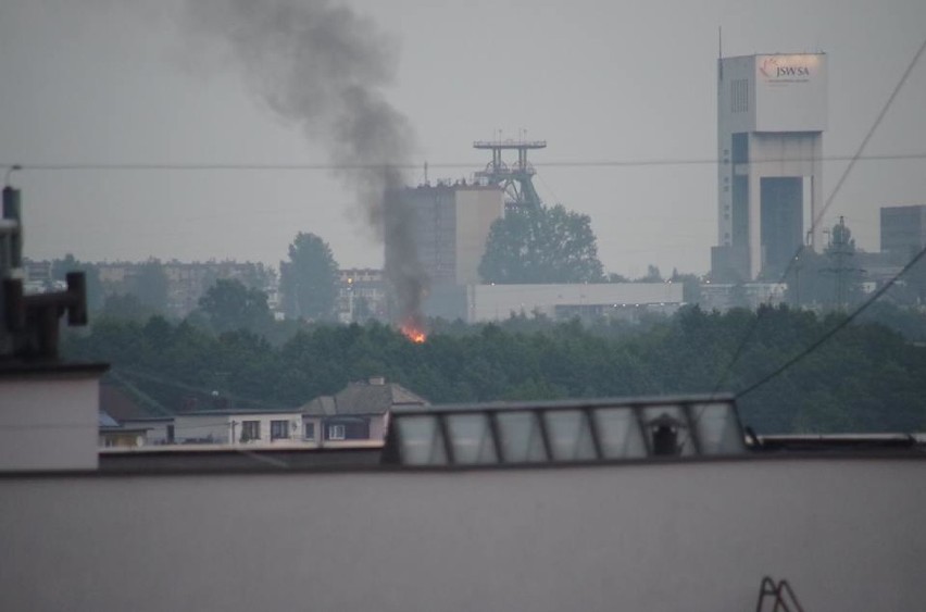 Pożar w Jastrzębiu: paliła się altana