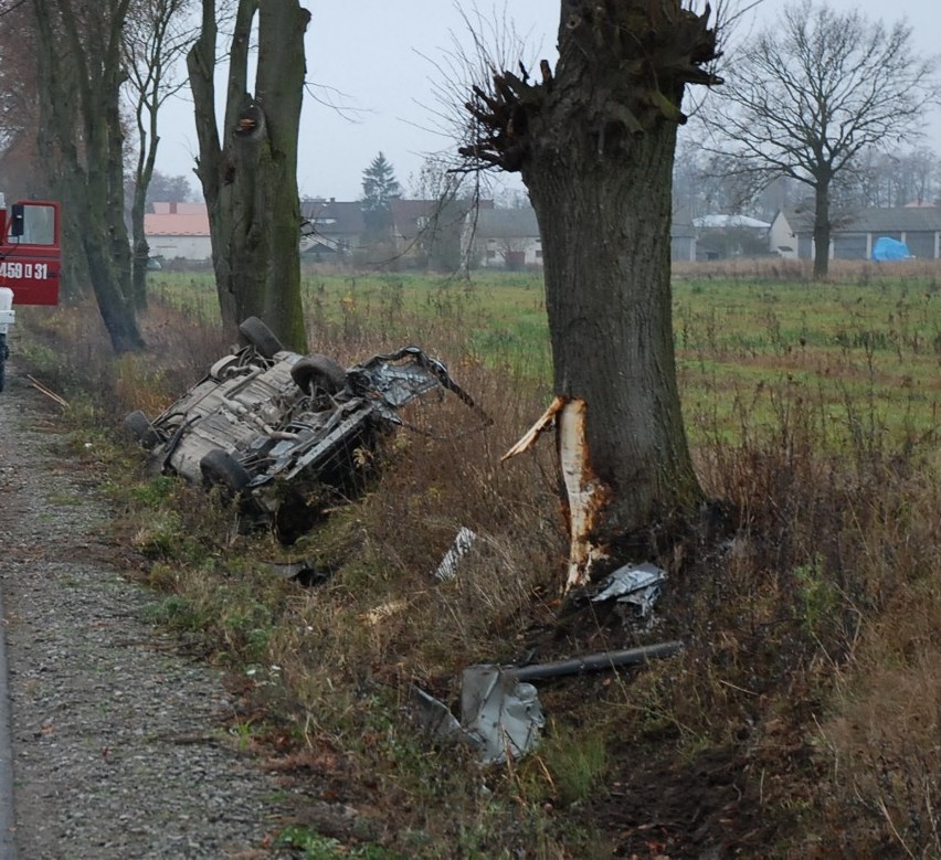 Wypadek w Samoklęskach. Honda uderzyła w przydrożne drzewo.