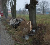Wypadek w Samoklęskach: Honda uderzyła w drzewo. Ranny pasażer (ZDJĘCIA)