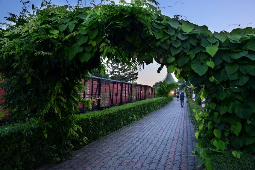 Muzeum w Wenecji i pałucka ciuchcia w różnych odsłonach